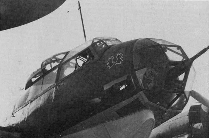 Ju 88 du 1.(F) 120.jpg